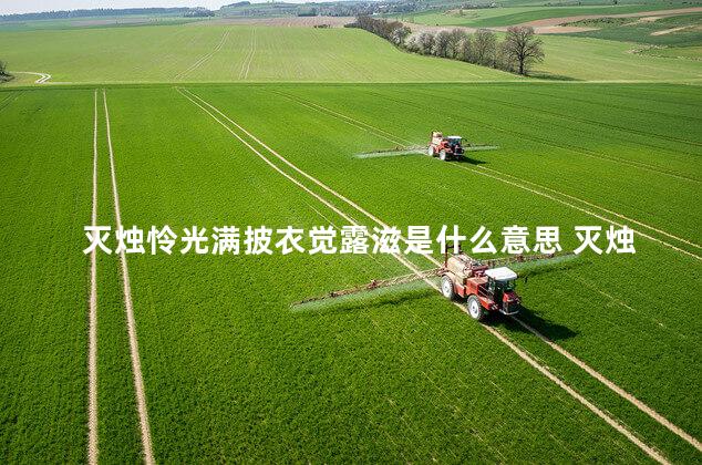 灭烛怜光满披衣觉露滋是什么意思 灭烛怜光满披衣觉露滋是哪一首诗